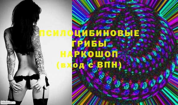 гашиш Арсеньев